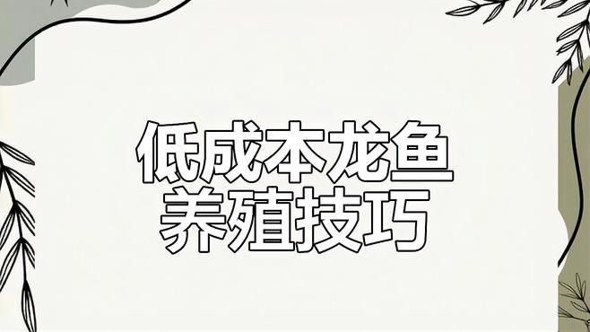 龍魚(yú)養(yǎng)殖技術(shù)有哪些創(chuàng)新（魚(yú)養(yǎng)殖技術(shù)的創(chuàng)新）