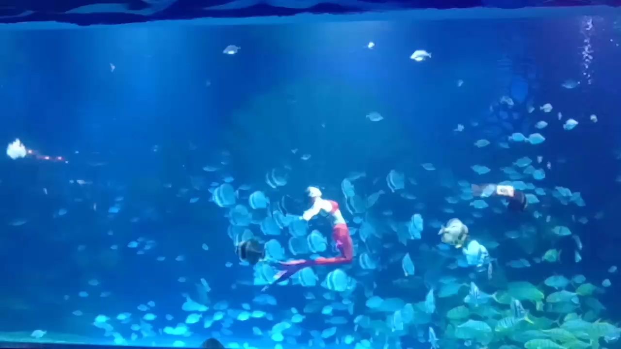 隨拍(金雞暢天下評論:隨拍的魅力在于其真實性和即時性)