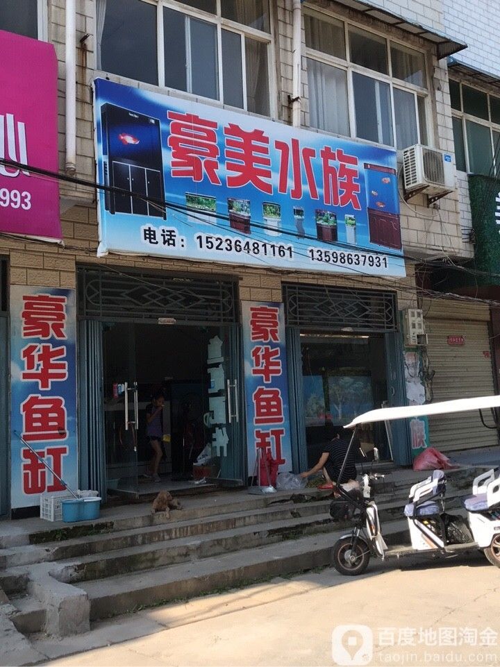 封丘哪個水族館龍魚好？祥龍魚場龍魚（丘縣龍魚愛好者有福了！）