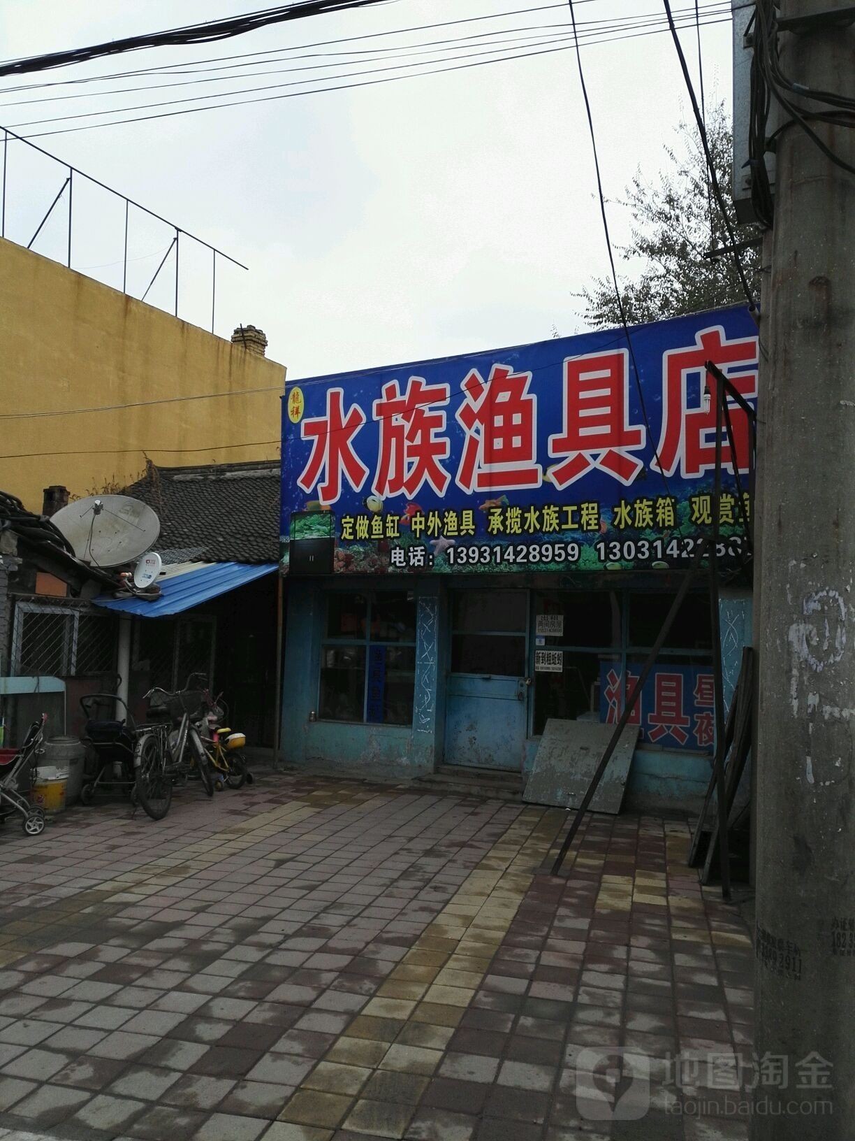 隆化哪個水族館龍魚好？祥龍魚場龍魚（祥龍魚場的龍魚價格如何？）