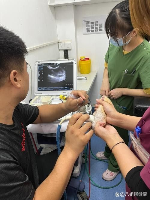 抽腹水后如何預防感染？
