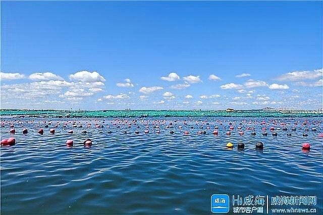 洪龍漁村的環(huán)境如何？