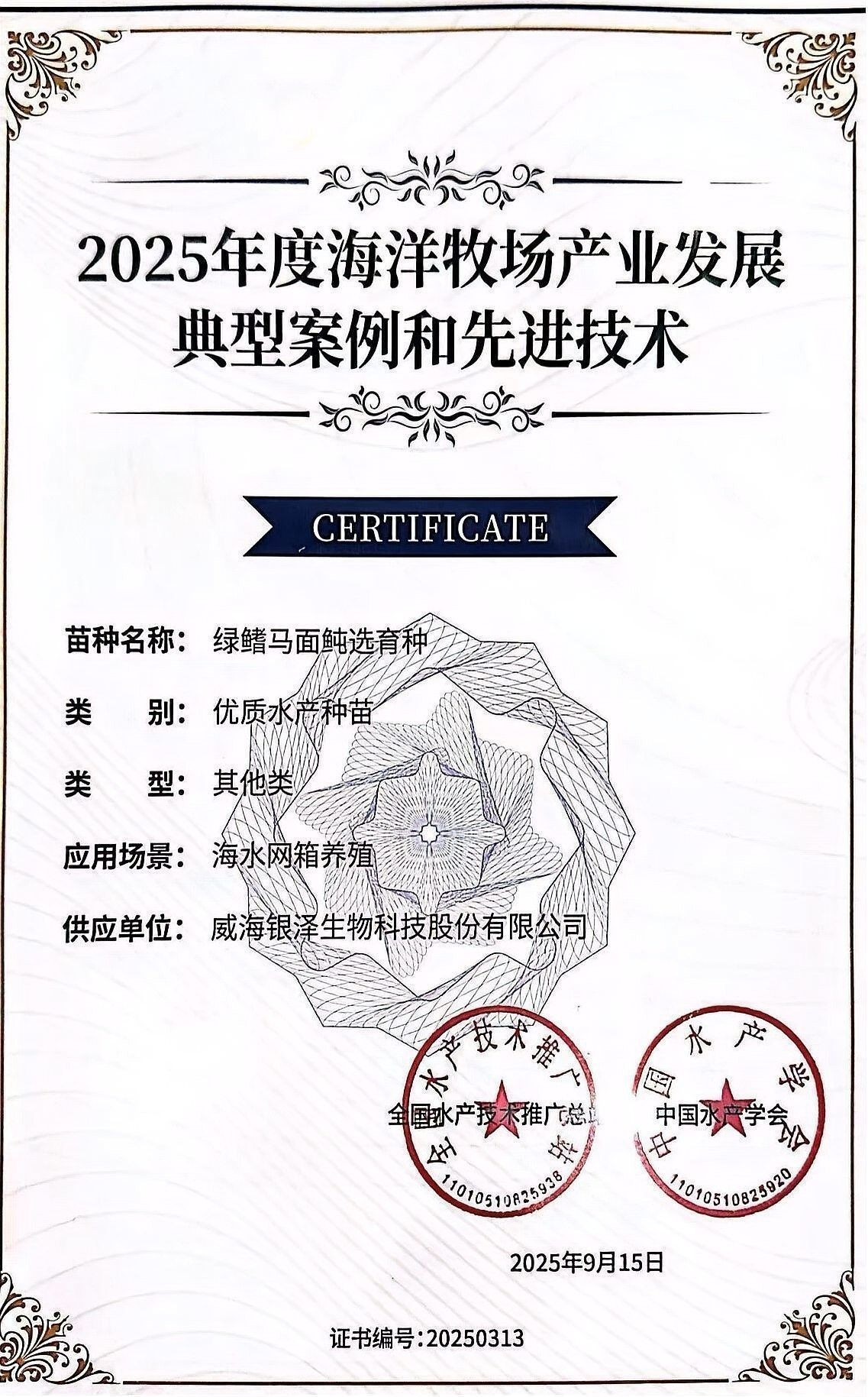 洪龍漁村的環(huán)境如何？