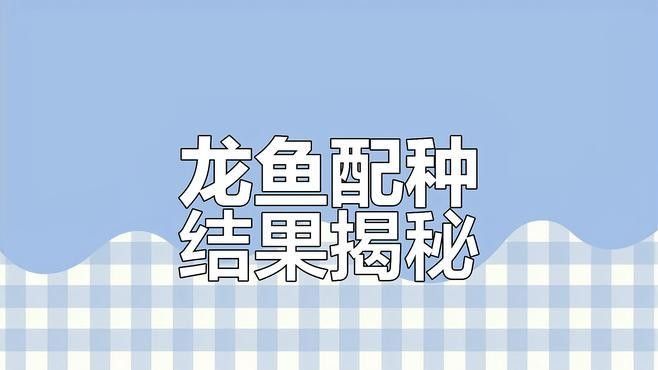 如何判斷龍魚是否成功繁殖？