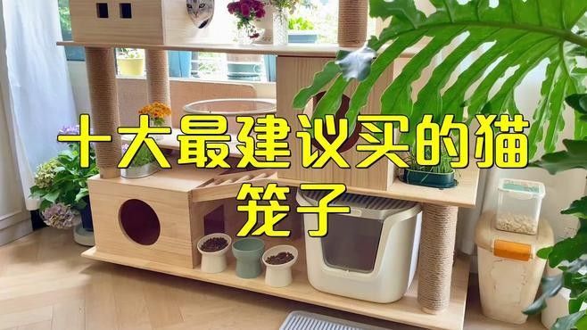給我推薦幾款龍貓籠子（幾款龍貓籠子推薦）