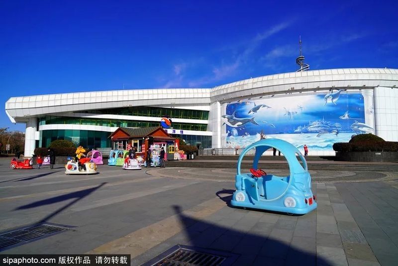城北哪個水族館龍魚好？祥龍魚場龍魚（北京城北哪個水族館祥龍魚場龍魚種類最多）