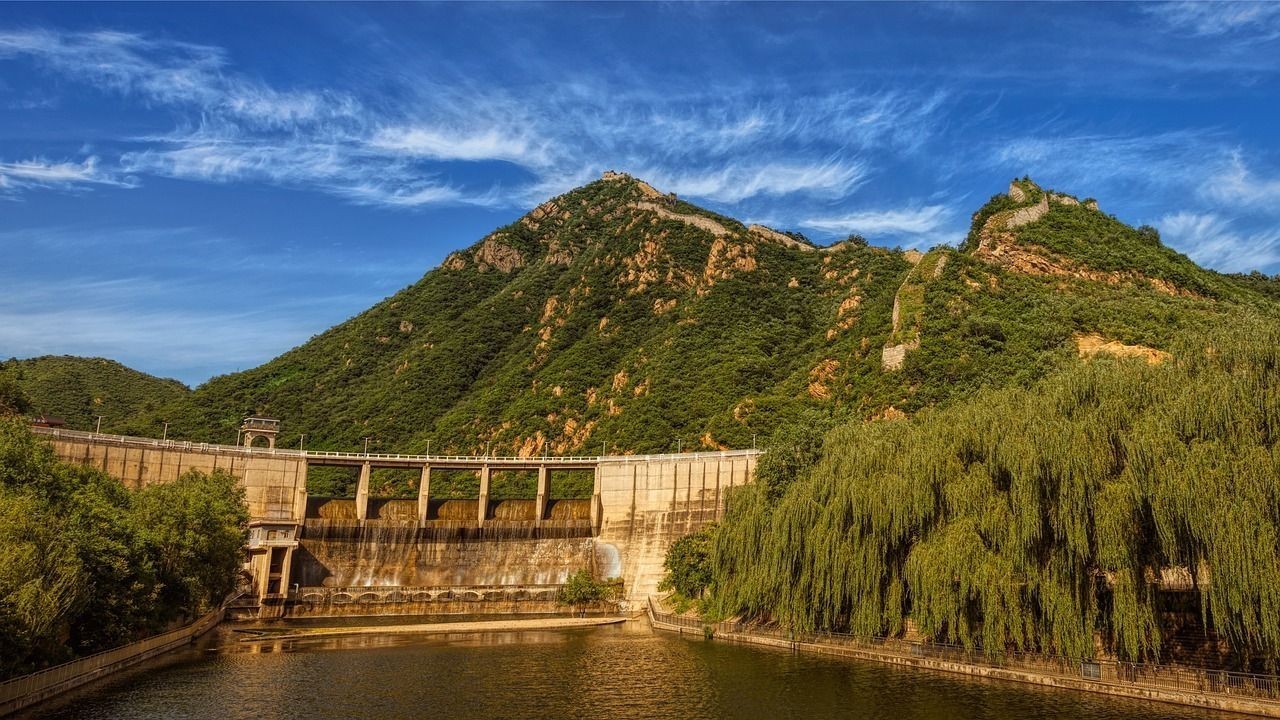 昭和錦鯉（日本國寶級的藝術和文化象征——昭和錦鯉） 昭和錦鯉（日本國寶級的藝術和文化象征——昭和錦鯉） 觀賞魚百科 第2張