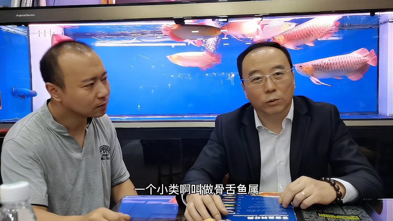 野生龍魚有哪些品種？