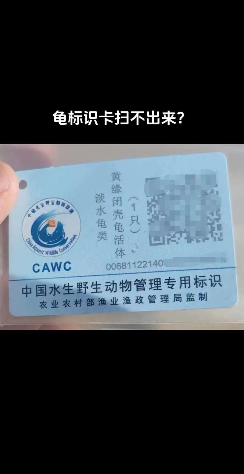如何判斷龍龜材質是否安全