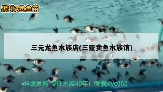 <strong><mark>三元</mark></strong>龍魚水族店(三亞賣魚水族館)