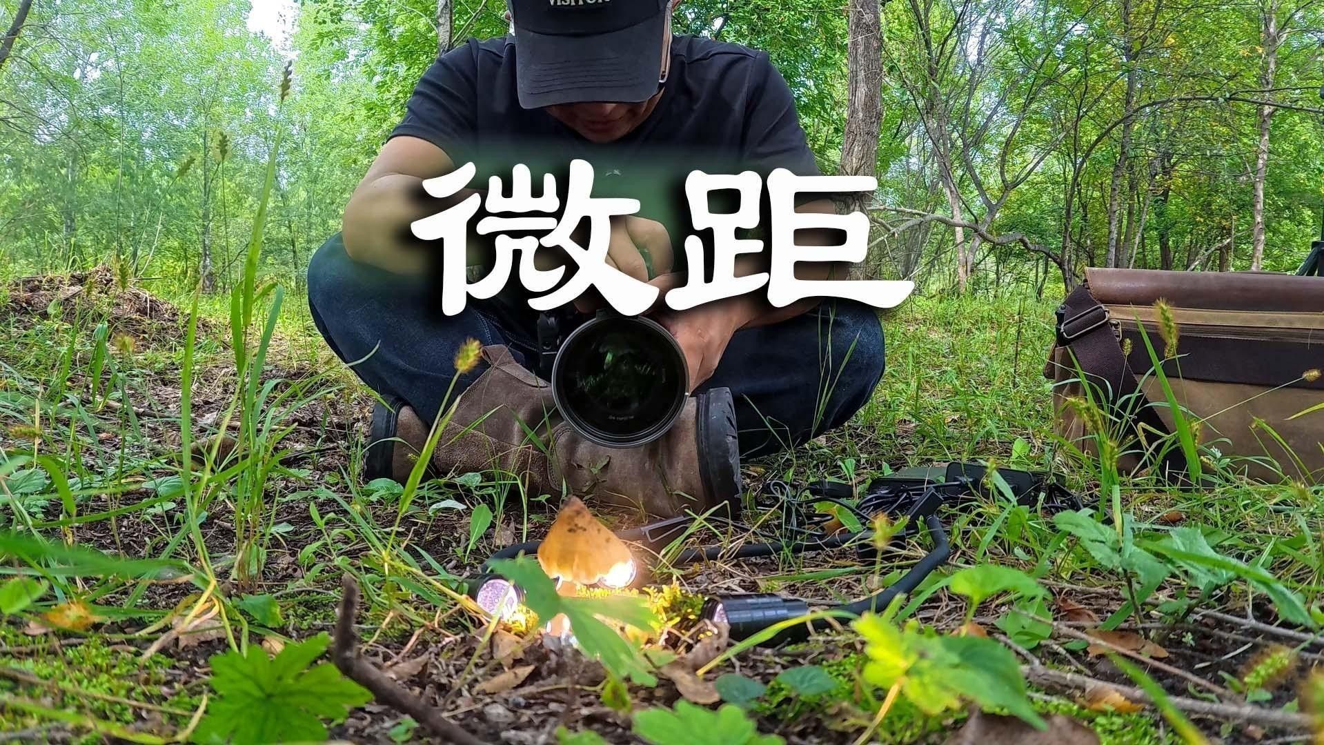如何設置微距鏡頭拍攝小龍魚（微距鏡頭如何設置和使用）