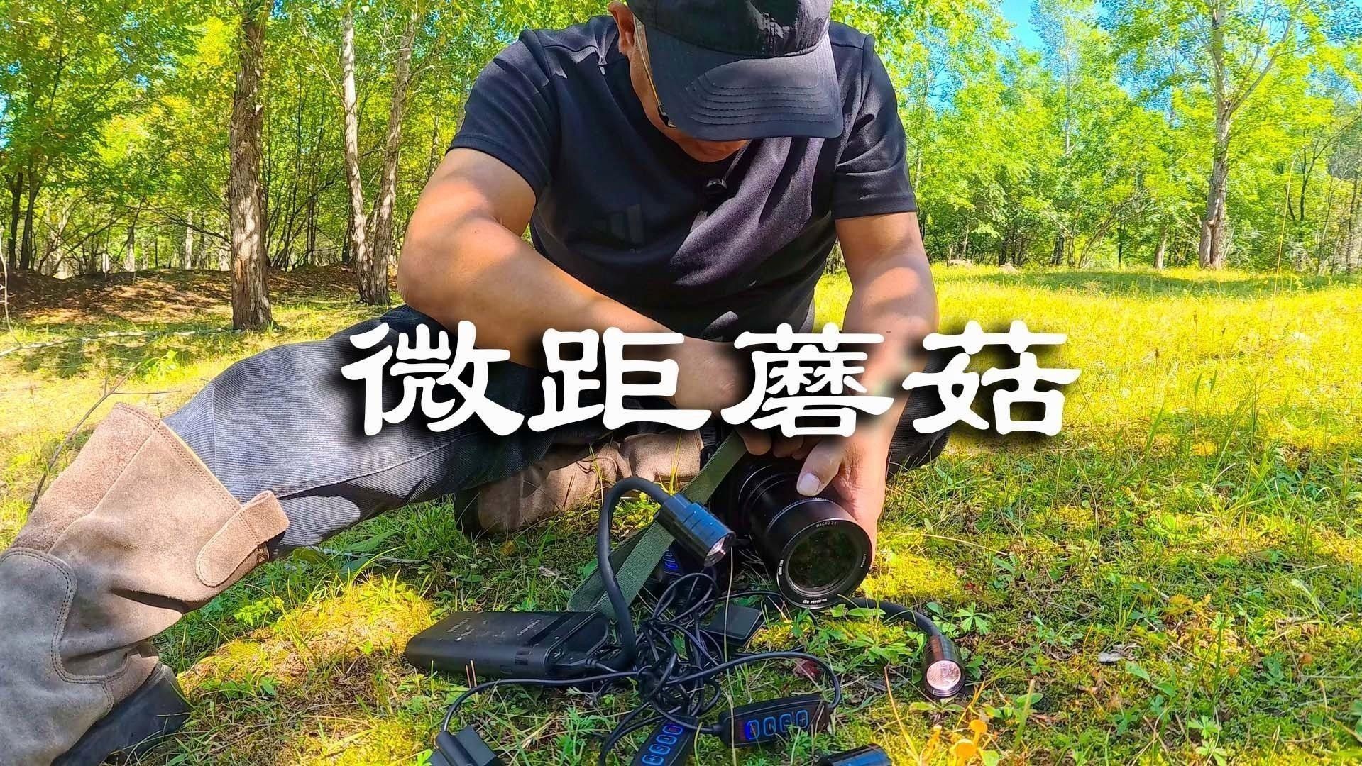 如何設置微距鏡頭拍攝小龍魚（微距鏡頭如何設置和使用）