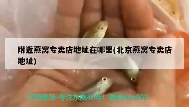 附近燕窩專賣店地址在哪里(北京燕窩專賣店地址)