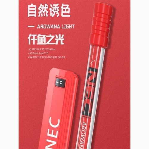 金龍魚專用燈多久換一次？（如何判斷金龍魚專用燈是否需要更換？）