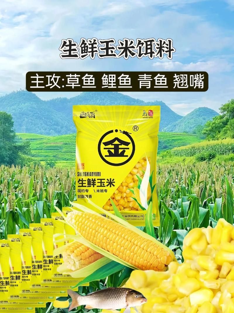 金龍餌料有哪些系列？（金龍餌料哪個系列最好用金龍餌料測評之金龍升級版浮釣鰱鳙魚口王）