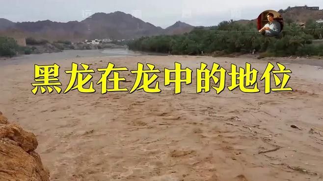 紅龍和黑龍哪個更強大