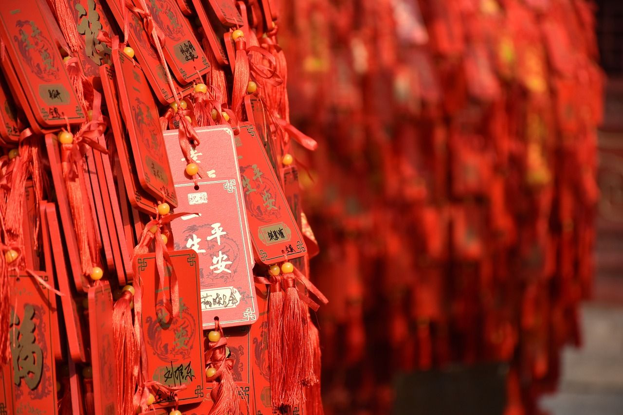 觀賞魚熱帶魚金龍魚（金龍魚喂凍泥鰍好還是活小草金好）