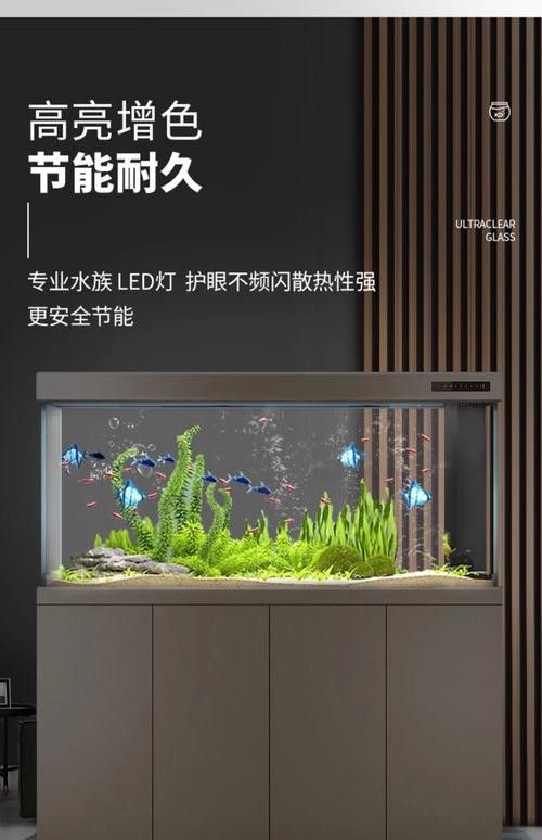 給我一些龍魚缸白底黑背景的設(shè)計(jì)靈感