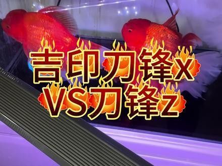 吉印刀鋒X系列有哪些型號