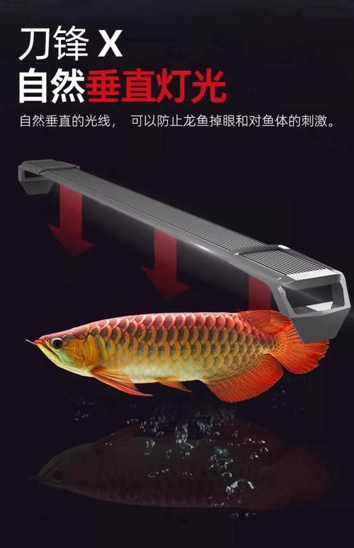 吉印刀鋒X系列有哪些型號