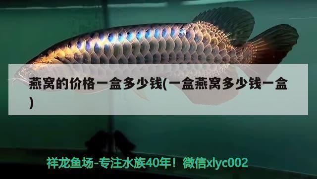 燕窩的價格一盒多少錢(一盒燕窩多少錢一盒)