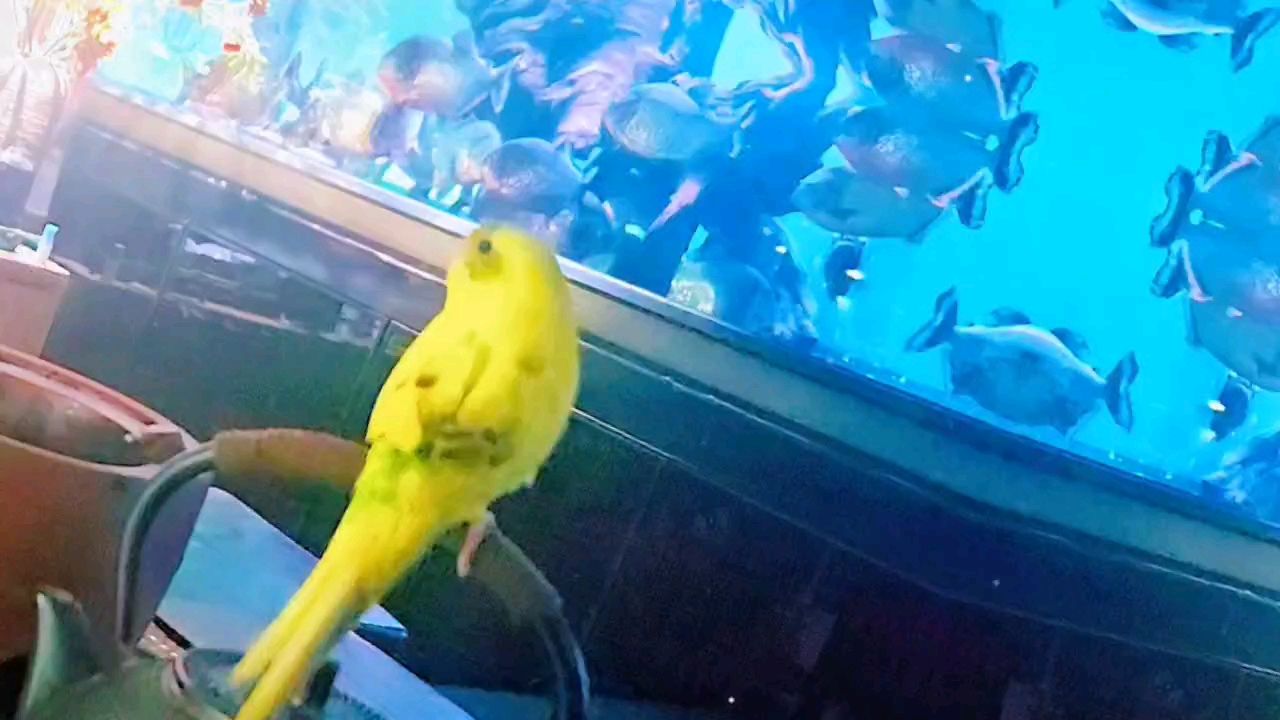 中年男人的獨處……