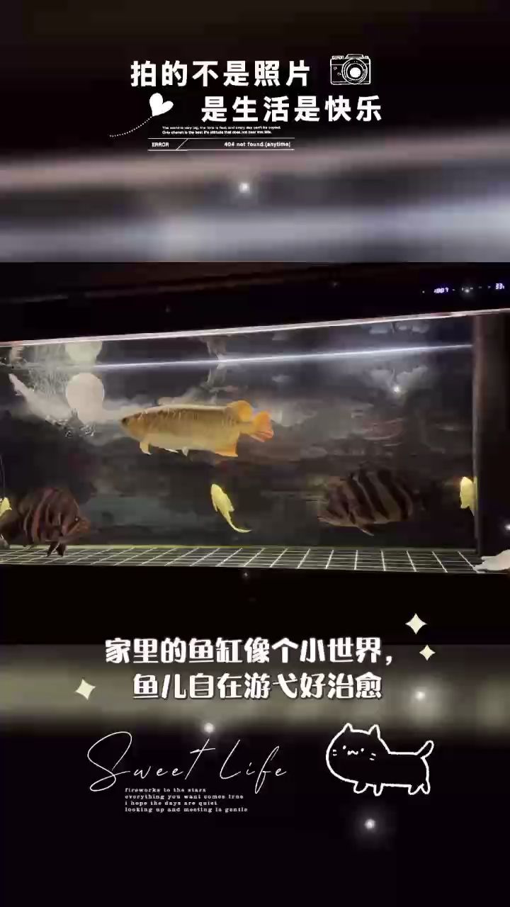 記錄一下