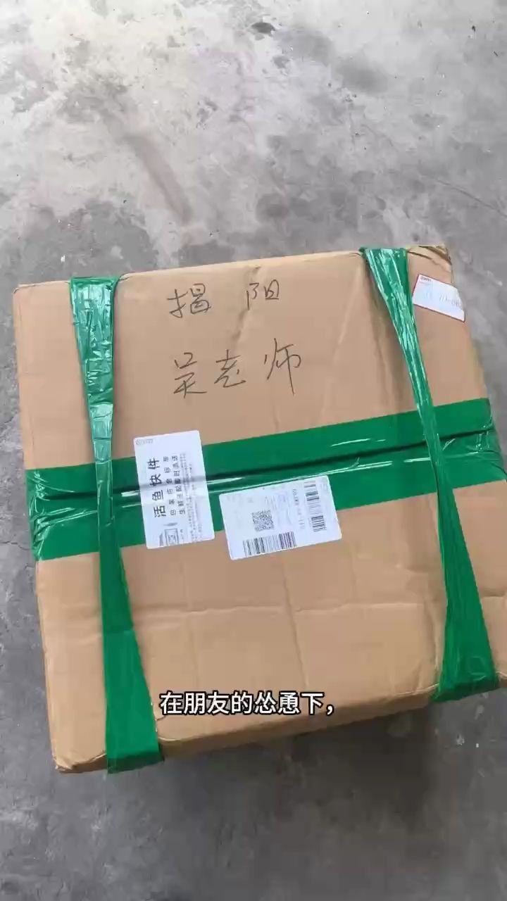 三湖慈鯛 綠龍王（三湖慈鯛綠龍王） 三湖慈鯛 綠龍王（三湖慈鯛綠龍王） 龍魚論壇