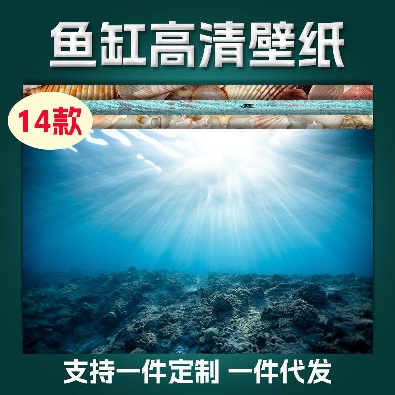 金龍魚缸背景紙多久換一次 金龍魚缸背景紙多久換一次 龍魚百科 第6張