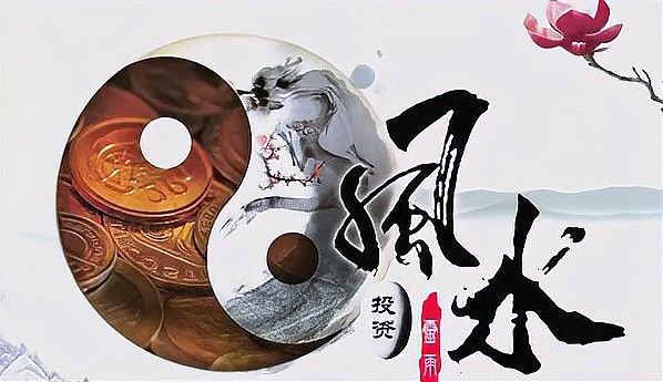 九龍魚混養的最佳數量是多少（九龍魚混養的最佳數量取決于多種因素，龍魚混養大揭秘）