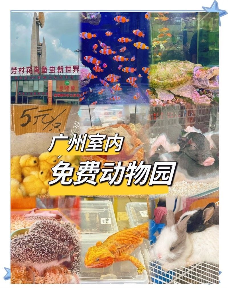 廣州龍魚之家的營業時間是？（廣州龍魚之家水族館的營業時間是多久？）