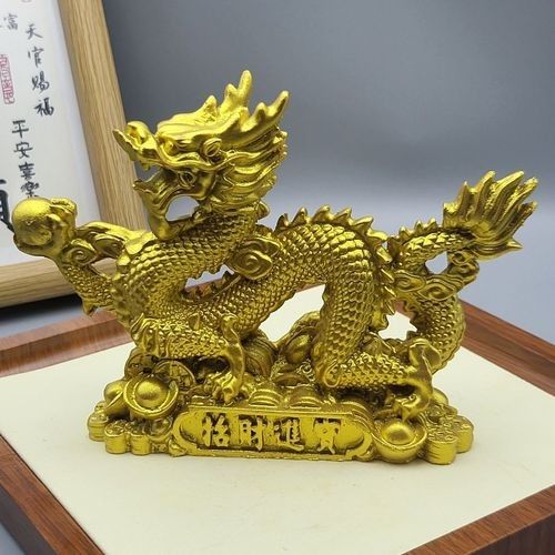 白子招財龍哪個品牌好？