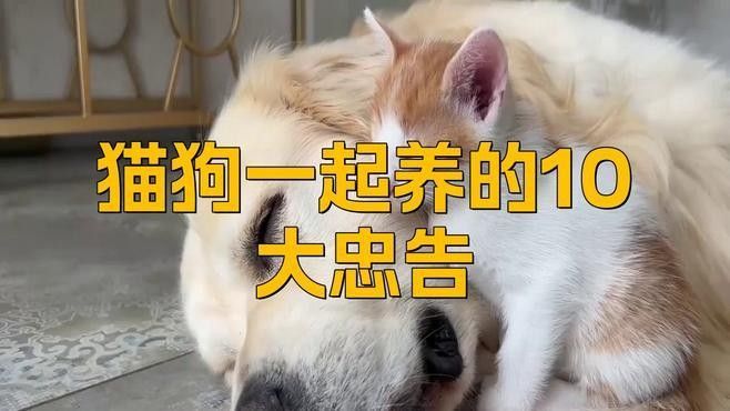 混養(yǎng)時(shí)如何避免打斗？（養(yǎng)寵物時(shí)如何避免打斗）
