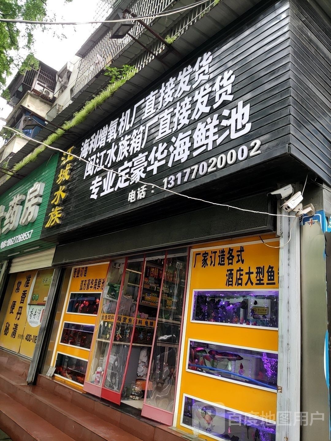 荊州哪個水族館龍魚好？祥龍魚場龍魚