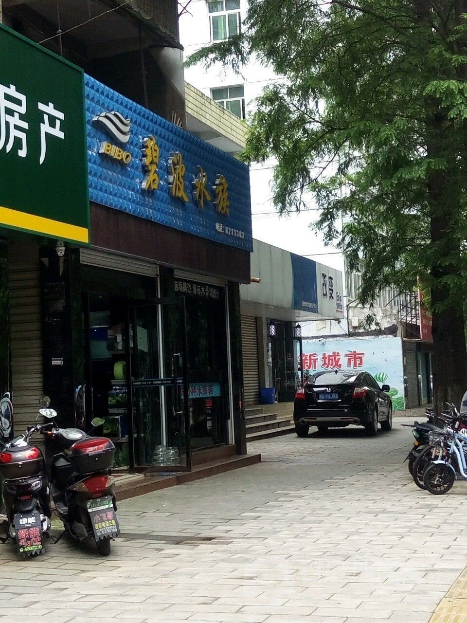 荊州哪個水族館龍魚好？祥龍魚場龍魚