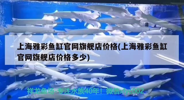 <strong><mark>上海</mark></strong>雅彩魚缸官網(wǎng)旗艦店價格(<strong><mark>上海</mark></strong>雅彩魚缸官網(wǎng)旗艦店價格多少)