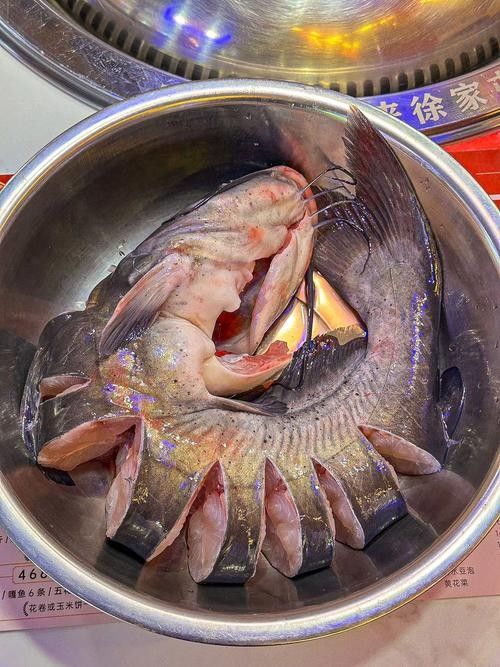百藝城有哪些高端進口魚