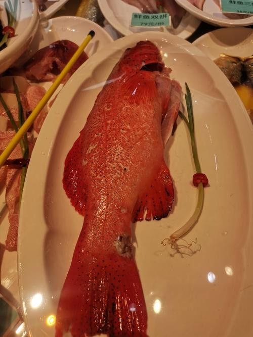 百藝城有哪些高端進口魚