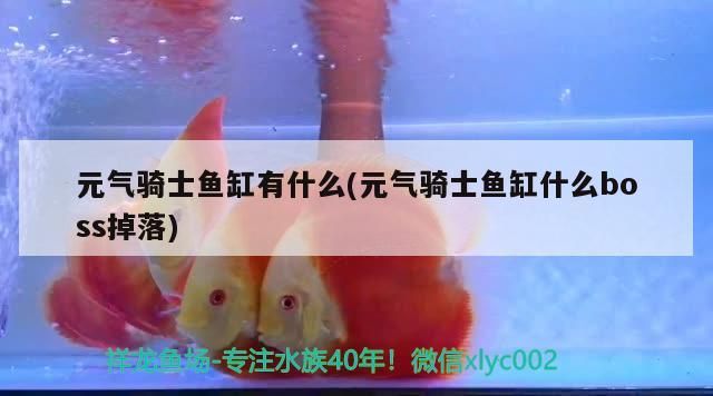 元氣騎士魚缸有什么(元氣騎士魚缸什么boss掉落)