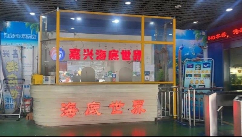 嘉興還有哪些水族市場 嘉興還有哪些水族市場 龍魚百科 第5張