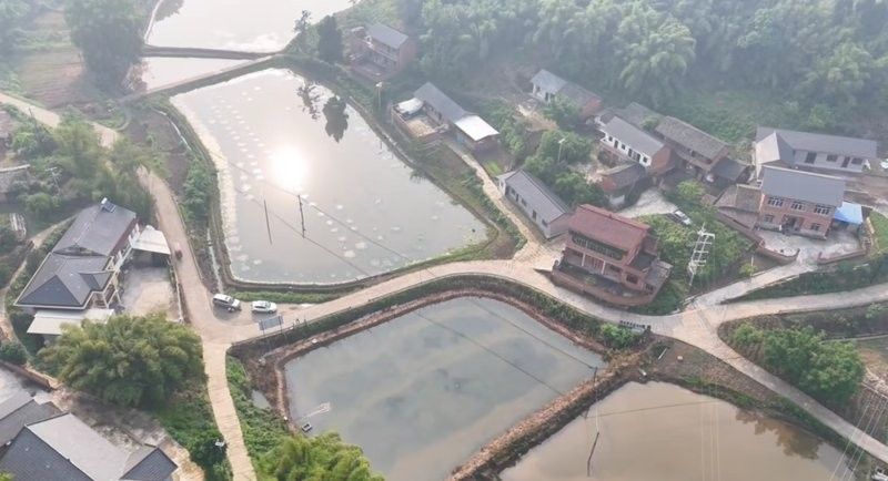 還有其他內(nèi)江龍魚專賣店嗎 還有其他內(nèi)江龍魚專賣店嗎 龍魚百科 第8張