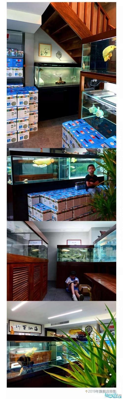 還有其他內(nèi)江龍魚專賣店嗎 龍魚百科 第1張 還有其他內(nèi)江龍魚專賣店嗎 還有其他內(nèi)江龍魚專賣店嗎 龍魚百科 第1張