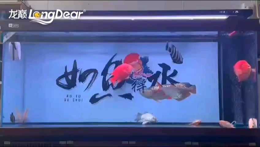 轉發894（“轉發894”現象的多維性）