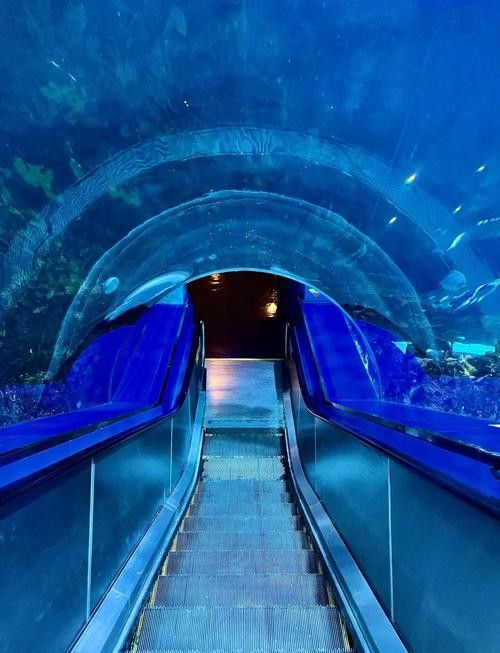 CC水族館有哪些特色？（klcc水族館一日游-大眾點(diǎn)評(píng)大眾點(diǎn)評(píng)大眾點(diǎn)評(píng)）
