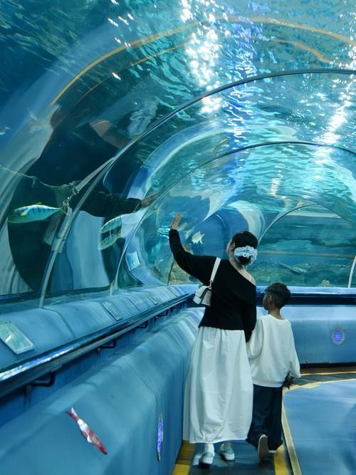 CC水族館有哪些特色？（klcc水族館一日游-大眾點(diǎn)評(píng)大眾點(diǎn)評(píng)大眾點(diǎn)評(píng)）