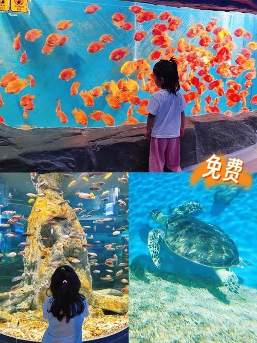 CC水族館有哪些特色？（klcc水族館一日游-大眾點(diǎn)評(píng)大眾點(diǎn)評(píng)大眾點(diǎn)評(píng)）