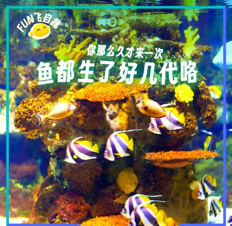 CC水族館有哪些特色？（klcc水族館一日游-大眾點(diǎn)評(píng)大眾點(diǎn)評(píng)大眾點(diǎn)評(píng)）