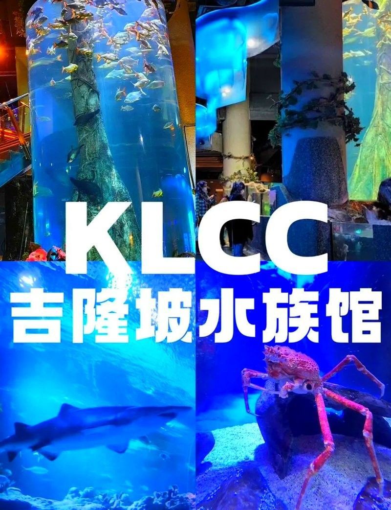 CC水族館有哪些特色？（klcc水族館一日游-大眾點(diǎn)評(píng)大眾點(diǎn)評(píng)大眾點(diǎn)評(píng)）