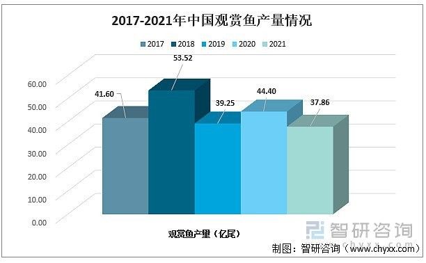 薩伊綠恐龍魚的市場供需情況如何（薩伊綠恐龍魚市場供需情況分析） 薩伊綠恐龍魚的市場供需情況如何（薩伊綠恐龍魚市場供需情況分析） 龍魚百科 第11張