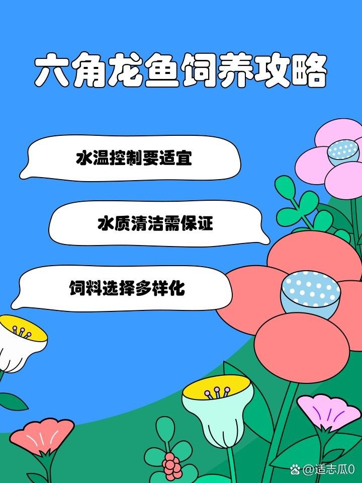 六角龍魚飼養水溫多少合適